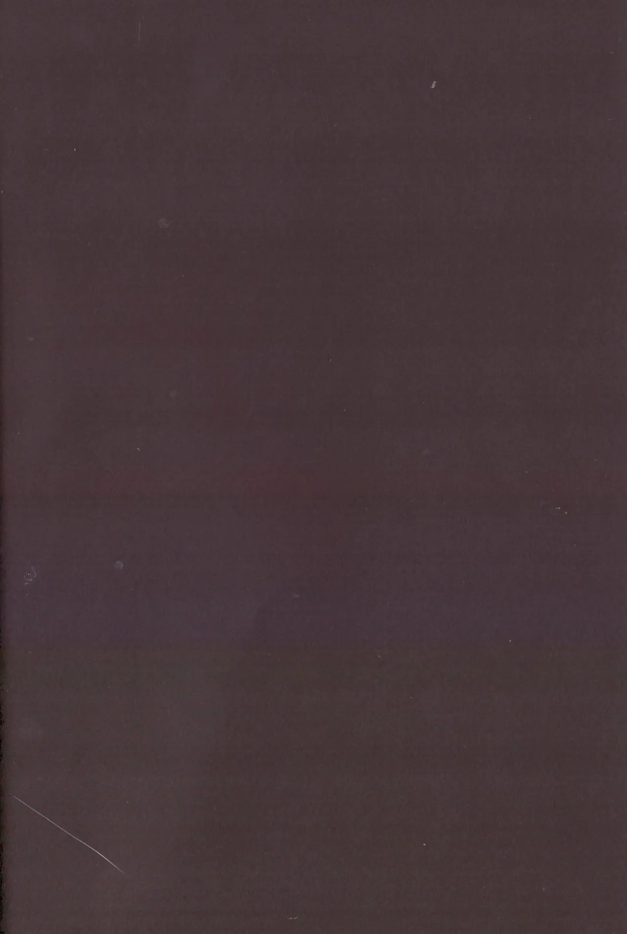 The other side of the mosaic page 2 full