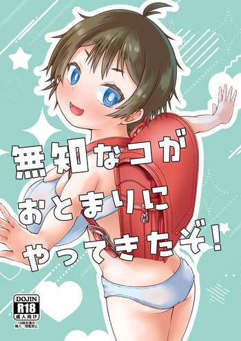 無知なコがおとまりにやってきたぞ！ cover
