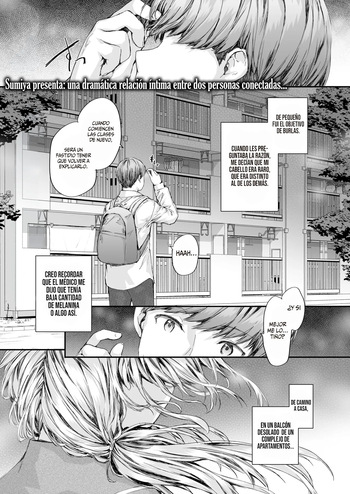 Shuugou Juutaku no Juliet || La Julieta del Complejo de Apartamentos（COMIC Kairakuten 2024-10 cover