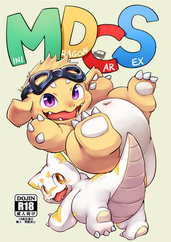 MDCS cover