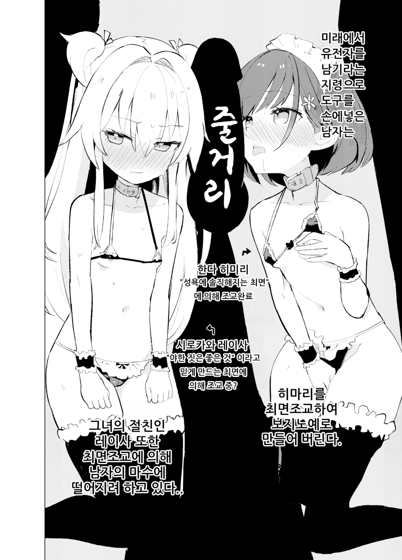 S.S.S.TRI page 2 full