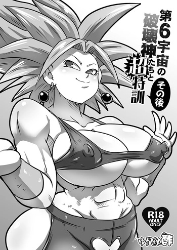 Dai 6 Uchuu no Hakaishin-tachi to Chou Tokkun Sonogo   After the super special training with Universe 6's God of Destruction cover