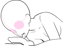 Lewd Mouth: New Explanations &amp; Pose Collection