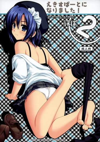 Expert ni Narimashita! Hobo 2 cover