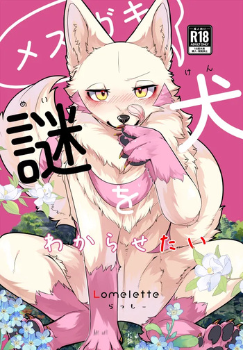 Mesugaki Meiken o Wakarasetai cover