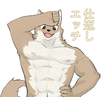 Shikaeshi Echi cover