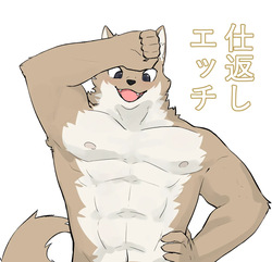 Shikaeshi Echi