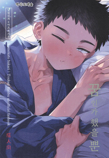 꿈인가 했을 뿐 Yume ka to motori cover