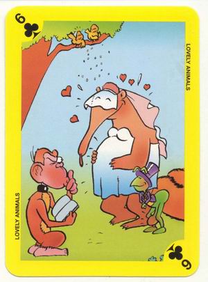 Lovely animals Collectible Cards page 2 full