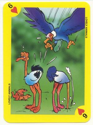 Lovely animals Collectible Cards page 3 full