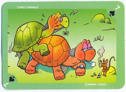 Lovely animals Collectible Cards page 5 full