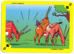 Lovely animals Collectible Cards