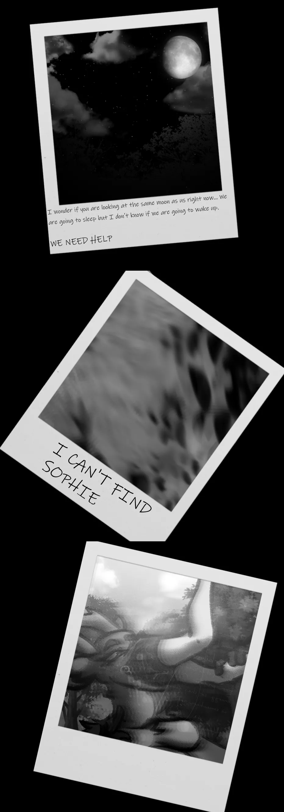 Mother's Day Eco Tour page 3 full