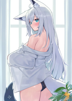 キツネの隠密な私生活