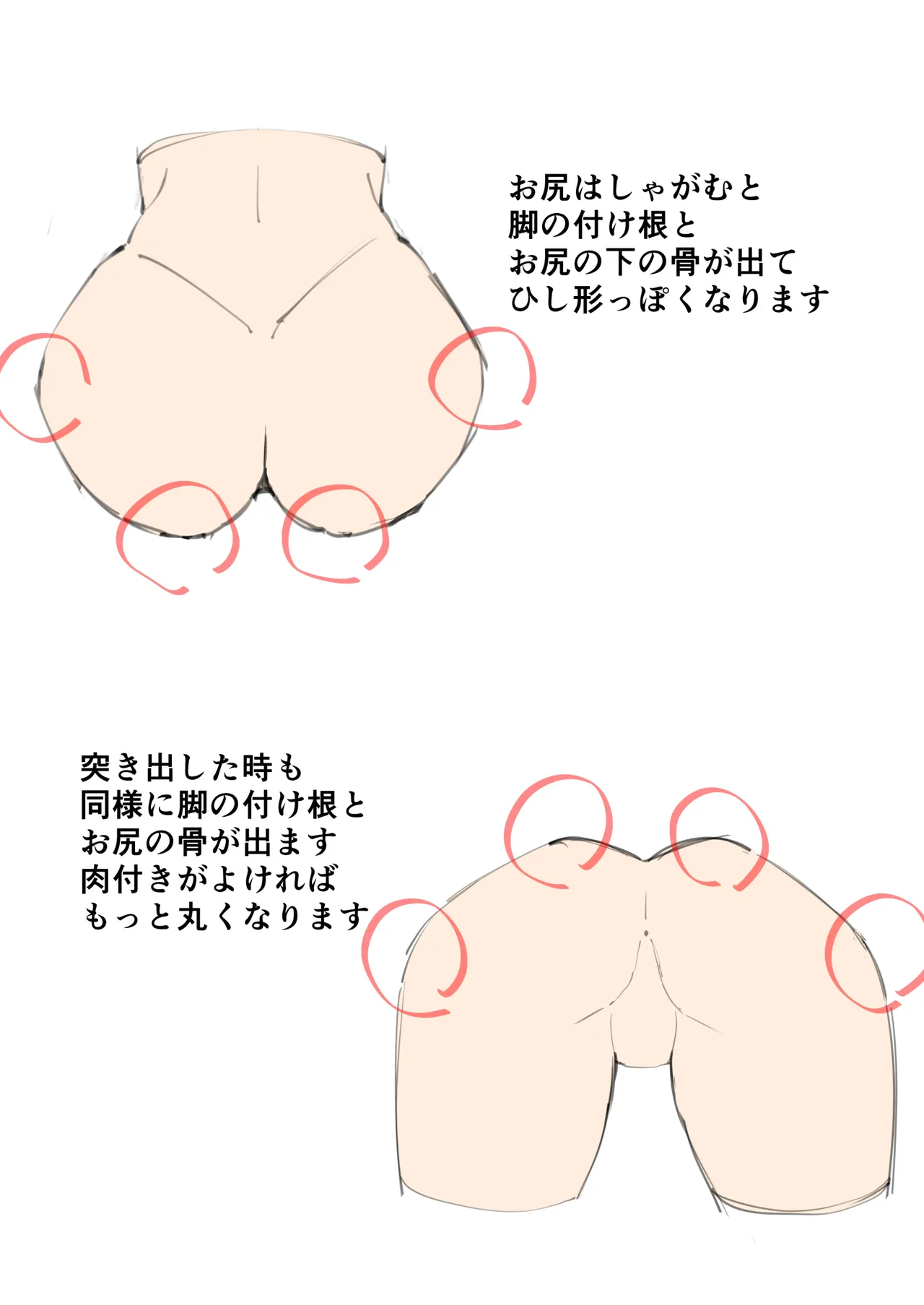 Basics Guide to Breasts and Butts page 7 full