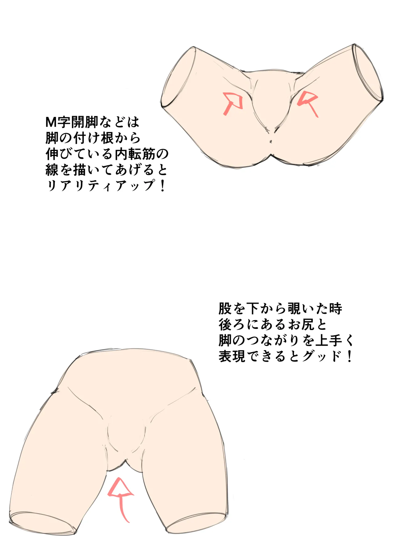 Basics Guide to Breasts and Butts page 8 full