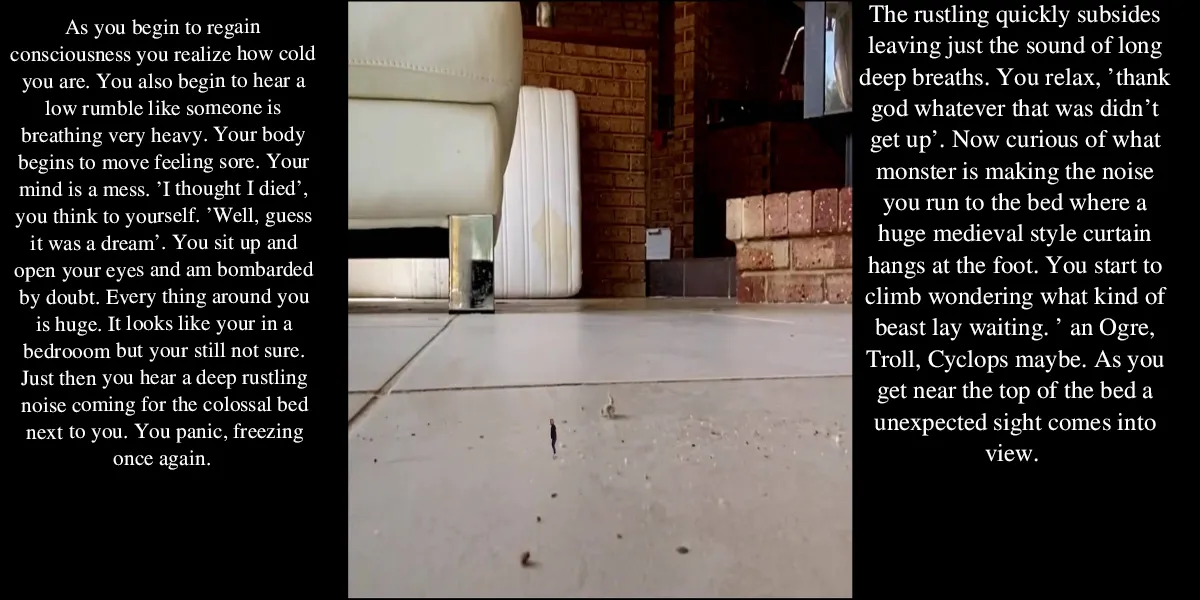 The Princesses Hard Life page 2 full