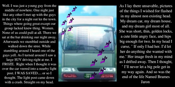 The Princesses Hard Life cover