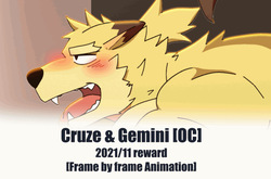 Cruze &amp; Geminii November 2021