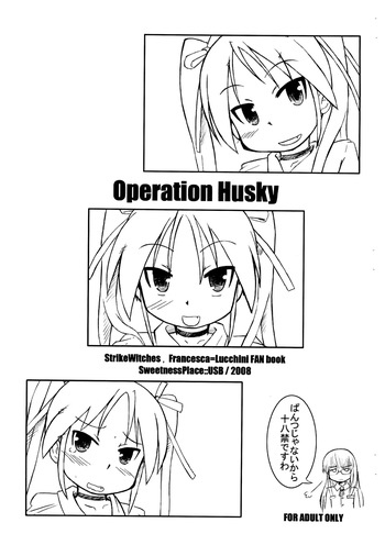 Operation Husky cover