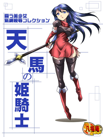 闘う美少女緊縛陵辱コレクション 天馬の姫騎士 cover