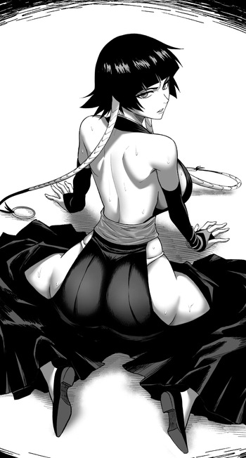 Sui-Feng cover