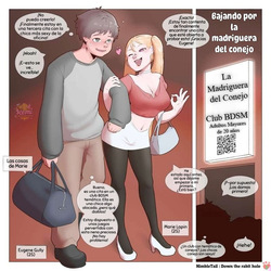 Bajando por la madriguera del conejo