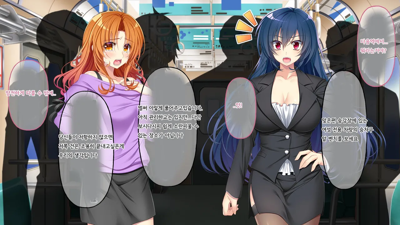 Nigeba nashi! Misshitsu chikan densha ~ Ganhori ri senno chokyo 도망칠수 없어~ 밀실치한 전차 애널세뇌조교~ page 4 full