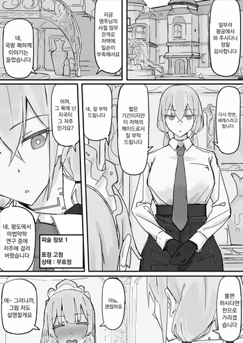 Kanjou Seigen Maid  | 감정제한 메이드 cover