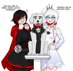 Dog's Girl's｜Las Chicas del Perro