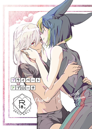 Private Approach cover