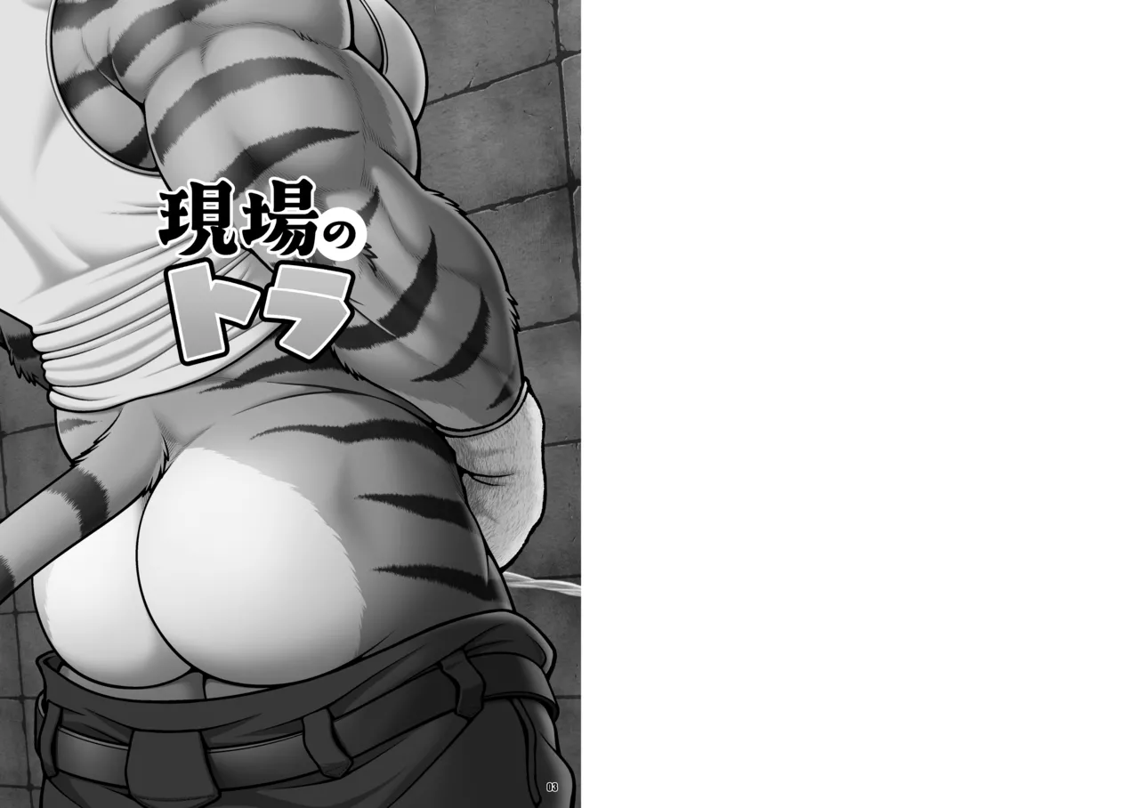 On-site Tiger page 2 full