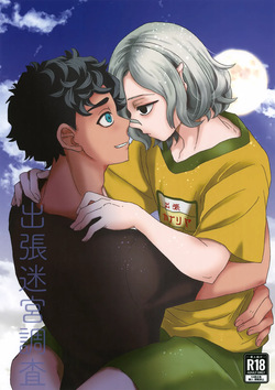 Shucchou Meikyuu Chousa