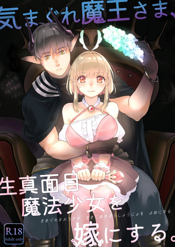 気まぐれ魔王さま、生真面目魔法少女を嫁にする。1 cover