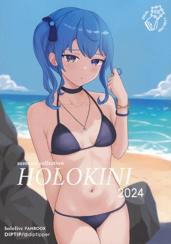 Holokini2024 cover