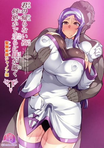 Kimi ga Kaeranai Yoru Dokoka de Midara ni Buta ga Aeku cover