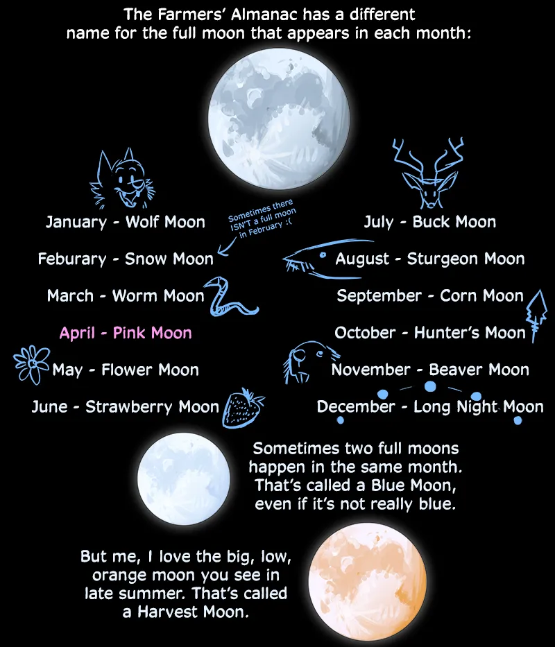 Ask the Werewolves Q&amp;A Blog page 8 full