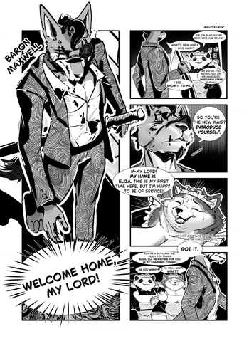 The Baron X the Maid cover