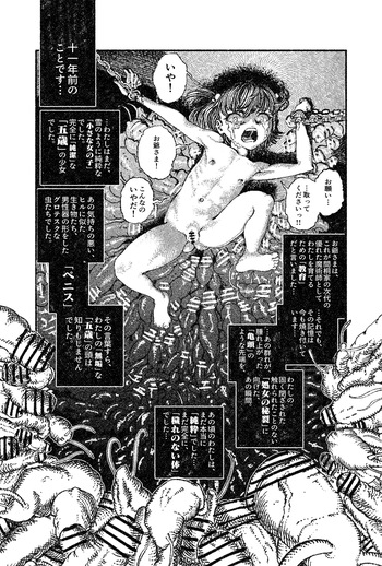 Matou Sakura cover