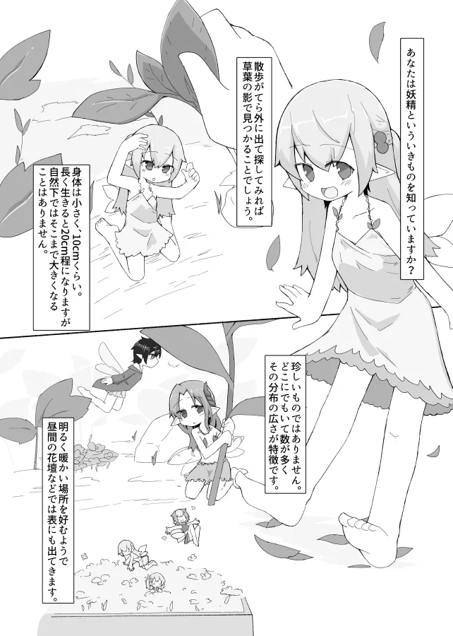 妖精さんのおしごと page 3 full