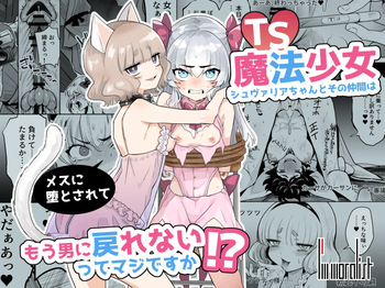 TS Mahou Shoujo Chevalier-chan To Sono Nakama Wa Mesu Ni Daraku To Sa re Te Mo Otoko Ni Modore Nai Tsu Te Maji Desu Ka!? cover