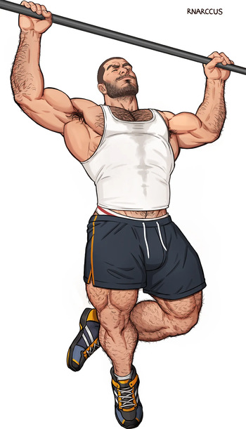 Pullups cover