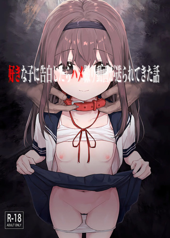 Suki na Ko ni Kokuhaku Shitara Hamedori Douga ga Okurarete Kita Hanashi cover