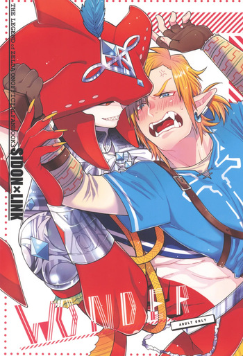 WONDER cover