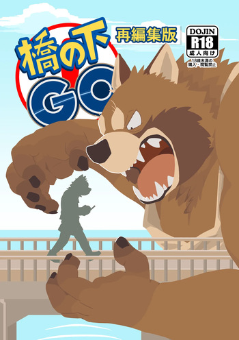 Hashi no Shita GO cover