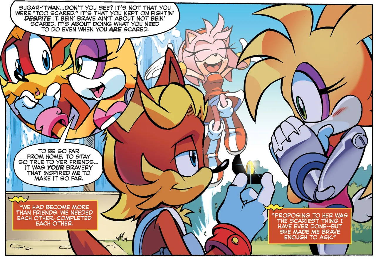 Sonic the Hedgehog IDW &amp; Archie Amy Rose Uncensored Panels page 10 full
