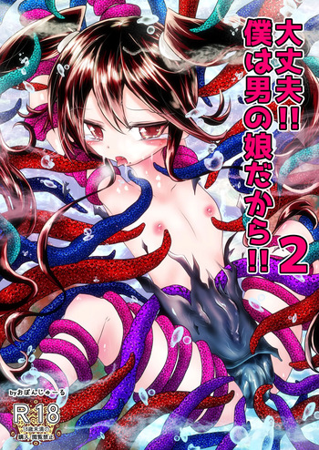 It's Okay!! I'm an Otoko no Ko!! 2 cover