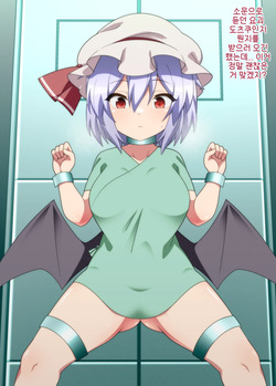 Gemu-ki ni kaizo sa reru remiria