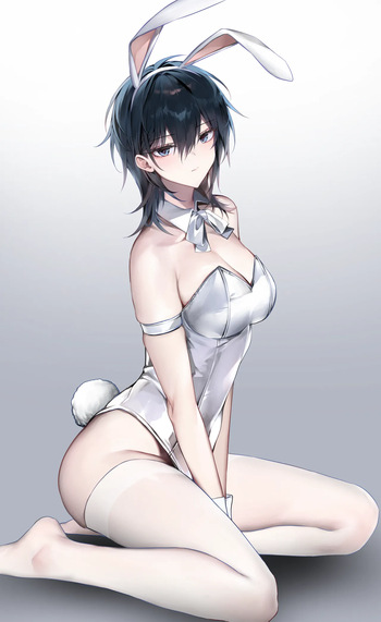Bara cover