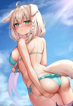 フブちゃん 水着